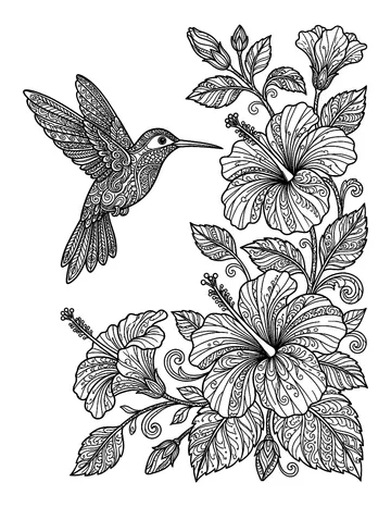 Coloring page: Hummingbird hovering beside blooming hibiscus flowers