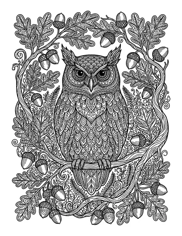 Coloring page: Woodland owl framed by oak branches