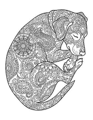 Coloring page: Sleeping dog decorated with paisley patterns