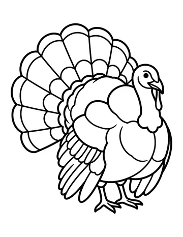 Coloring page: Turkey with big tail feathers